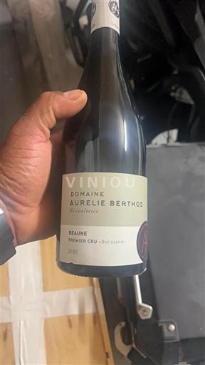 Borgogna Beaune Premier Cru Domaine Aurelie Berthod Belissand 2020