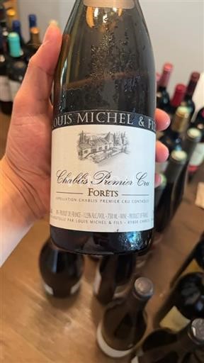 Burgundsko Chablis Premier Cru Louis Michel & Fils Forêts 2021