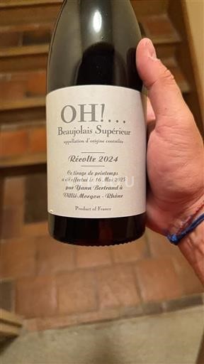 Beaujolais Beaujolais Supérieur Yann Bertrand OH! 2024