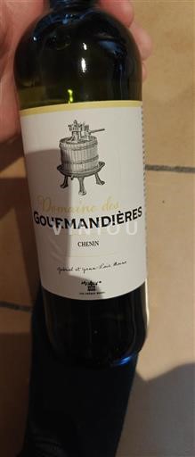 Loirevallei Savennières Domaine Des Gourmandières Niet-geïntegreerd