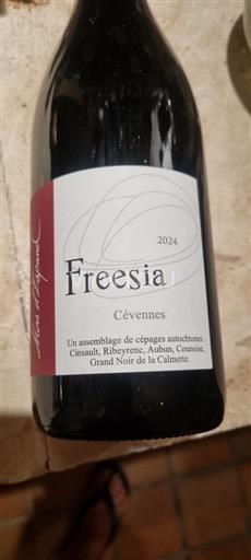 Languedoc und Roussillon Cévennen Mas Agonac Freesia 2024