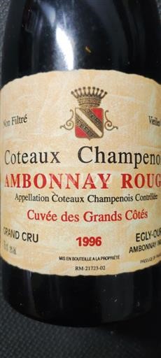 Champaña Coteaux champenois Grand Cru Egly-Ouriet des Grands Côtes 1996