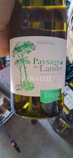 Sud-Ovest Tursan Vignerons Landais Paysage des Landes Senza annata