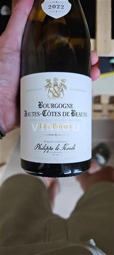 Burgundi Beaunen Ylämaat Philippe le Hardi Les Foires 2022