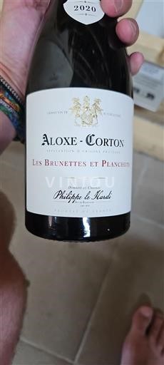 Burgundi Aloxe-Corton Domaine Philippe le Hardi Les Brunettes et Planchots 2020