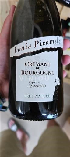 Bourgogne Crémant de Bourgogne Louis Picamelot Les Terroirs 2020