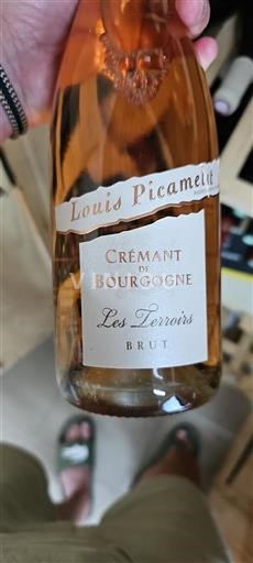 Bourgogne Crémant de Bourgogne Louis Picamelot Les Terroirs 2020