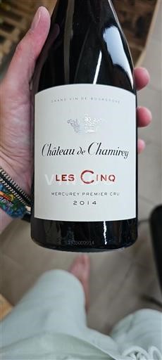 Bourgogne Mercurey Premier Cru Château Chamirey Les Cinq 2014