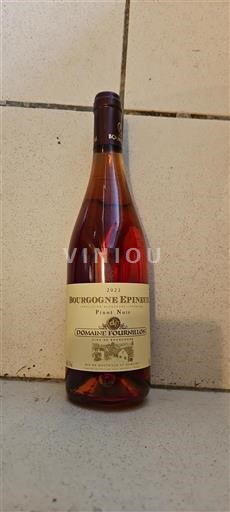 Burgundija Bourgogne Epineuil Domaine Fournillon 2023