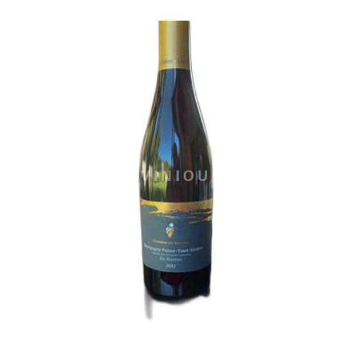 Burgundi Bourgogne-passetoutgrain Domaine Les Astrelles En Riottes 2022