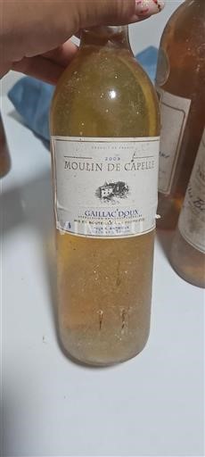 Southwest Gaillac Moulin de Capelle 2009
