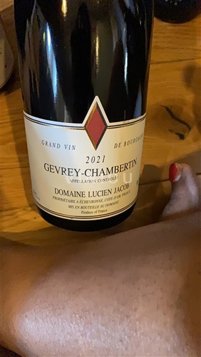 Vin Gevrey-chambertin Domaine Lucien Jacob - 2019 - Avis, conseil