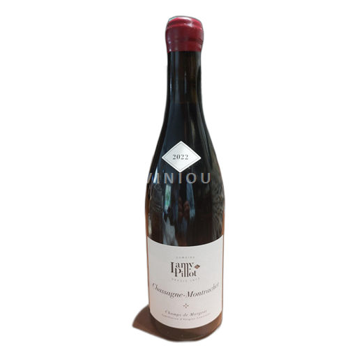 Bourgogne Chassagne-montrachet Domaine Lamy-Pillot Champs de Morgeot 2022