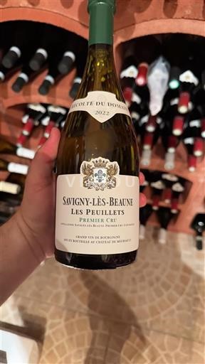 Bourgogne Savigny-lès-Beaune Premier Cru Château Meursault Les Peuillets 2022