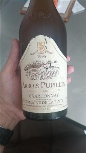 Jura Non specificato Domaine La Pinte 1995