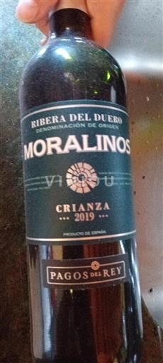 Castilien og León Ribera del Duero Pagos del Rey Moralinos 2019