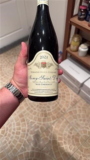 Borgogna Morey-saint-denis Domaine Odoul-Coquard Aux Cheseaux 2023