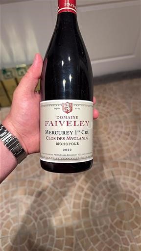 Bourgogne Ikke specificeret Premier Cru Domaine Faiveley Clos des Myglands 2022