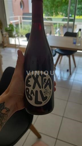 Dolina Loare Chinon Domaine Grosbois Extra Ball 2022