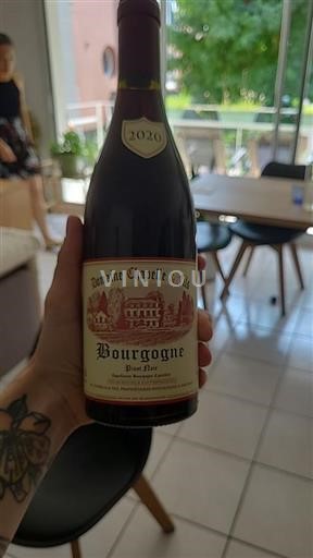 Burgundy Domaine Chapelle et Fils 2020