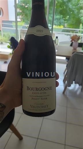 Burgundi Bourgogne Côte d'Or Christophe Vaudoisey Pinot Noir 2022