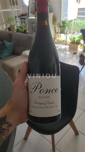 Castela-La Mancha Manchuela Ponce 2019