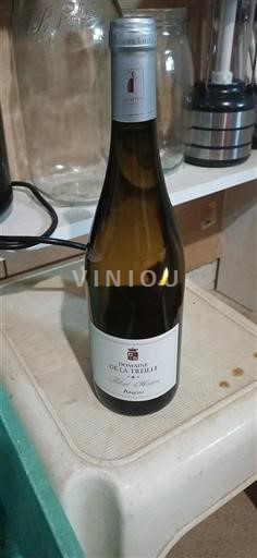 Loirevallei Anjou Domaine La Treille Thibaut Henriou Niet-geïntegreerd