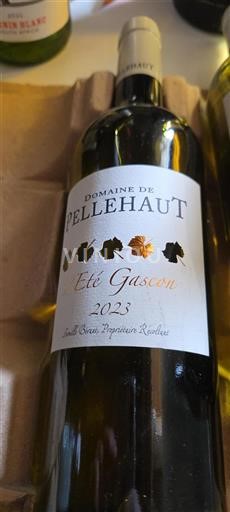 Südwestfrankreich Côtes de Gascogne Domaine Pellehaut Été Gascon 2023