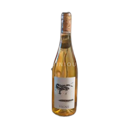 Alpen en Rhônevallei Coteaux de l'Ardèche Domaine Vigne Salamandre 2024