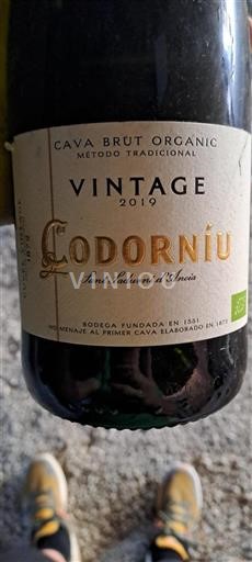 Catalonia Không được chỉ định Codorníu 2019
