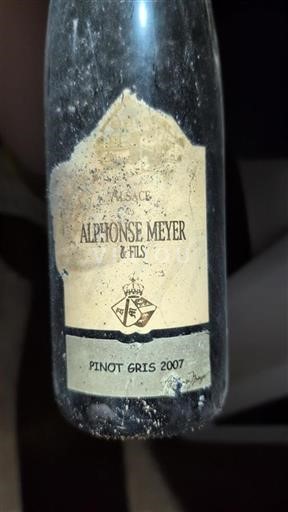 Alsace Alphonse Meyer & Fils Pinot Gris 2007