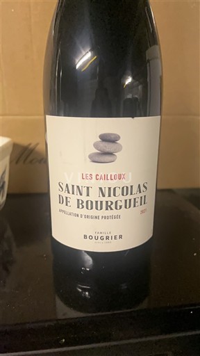 Loire-dalen Saint-Nicolas-De-Bourgueil Famille Bougrier Les Cailloux 2021