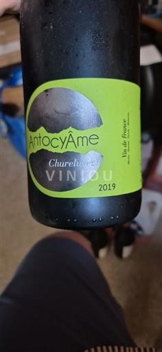 Valle della Loira Non specificato AntocyÂme Churelure 2019