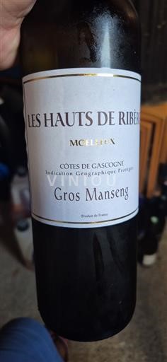 Sudoeste Côtes de Gascogne Les Hauts de Ribéret Gros Manseng Não Sazonado