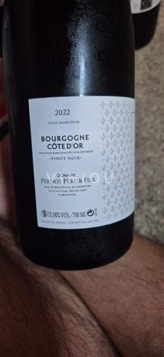 Burgundy Burgundy Côte d'Or Pernot Père & Fils 2022