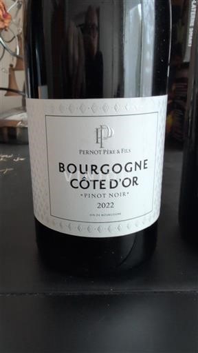 Bourgogne Bourgogne Côte d'Or Pernot Père & Fils 2022