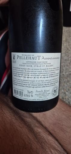 Sudoeste Côtes de Gascogne Domaine Pélleaut Não Sazonado