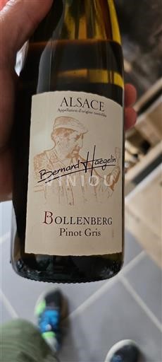 Alsace Bernard Haegelin Bollenberg Pinot Gris 2019