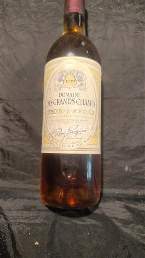 Zuidwest-Frankrijk Niet gespecificeerd Domaine Des Grands Champs 1999