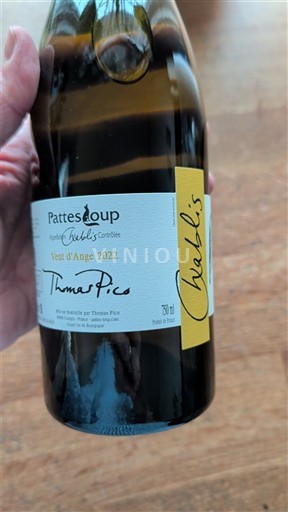 Burgundy Chablis Pattes Loup Vent d'Ange 2022