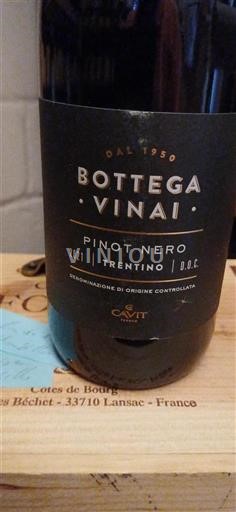 Emilia-Romagna Reggiano Bottega Vinai 2021