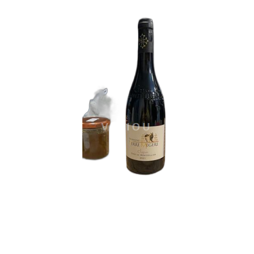 Languedoc Grès de Montpellier Domaine Terre Mégère Clapas 2021