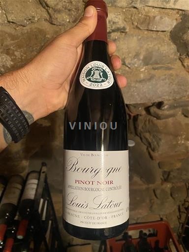 Borgoña Louis Latour Pinot Noir 2022