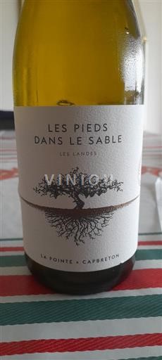 Südwestfrankreich Nicht spezifiziert La Pointe Les Pieds dans le Sable 2024