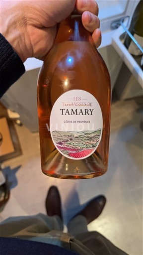Provence Côtes-de-Provence Les Terrasses de Tamary Non-Vintage