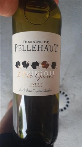 Südwestfrankreich Nicht spezifiziert Domaine Pellehaut L'Été Gascon 2022