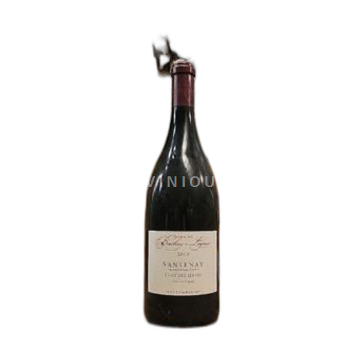 Burgundija Santenay Domaine Bachey-Legros Clos des Hâtes 2019