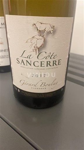 Loire Valley Sancerre Gérard Boulay La Côte 2017