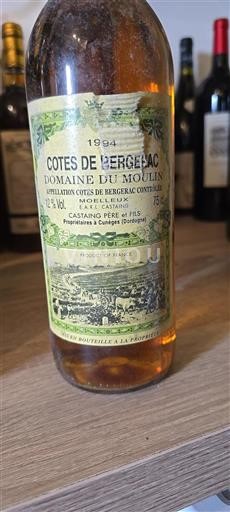 Sud-Ovest Côtes-de-bergerac Domaine Moulin 1994