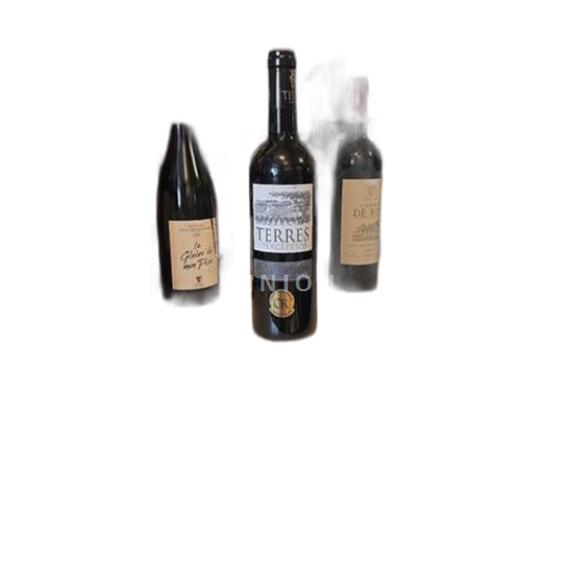 Burdeos Bordeaux Terres Exception 2019